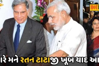 ધારાવી, જોખમી વસાહત, સળગતા ચરૂ, સમાચાર