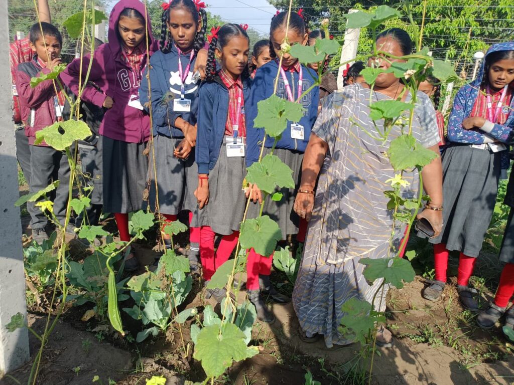 નવચેતન અદાણી વિદ્યાલયના વિદ્યાર્થીઓએ ખેડૂત દિવસની ઉજવણી કરી