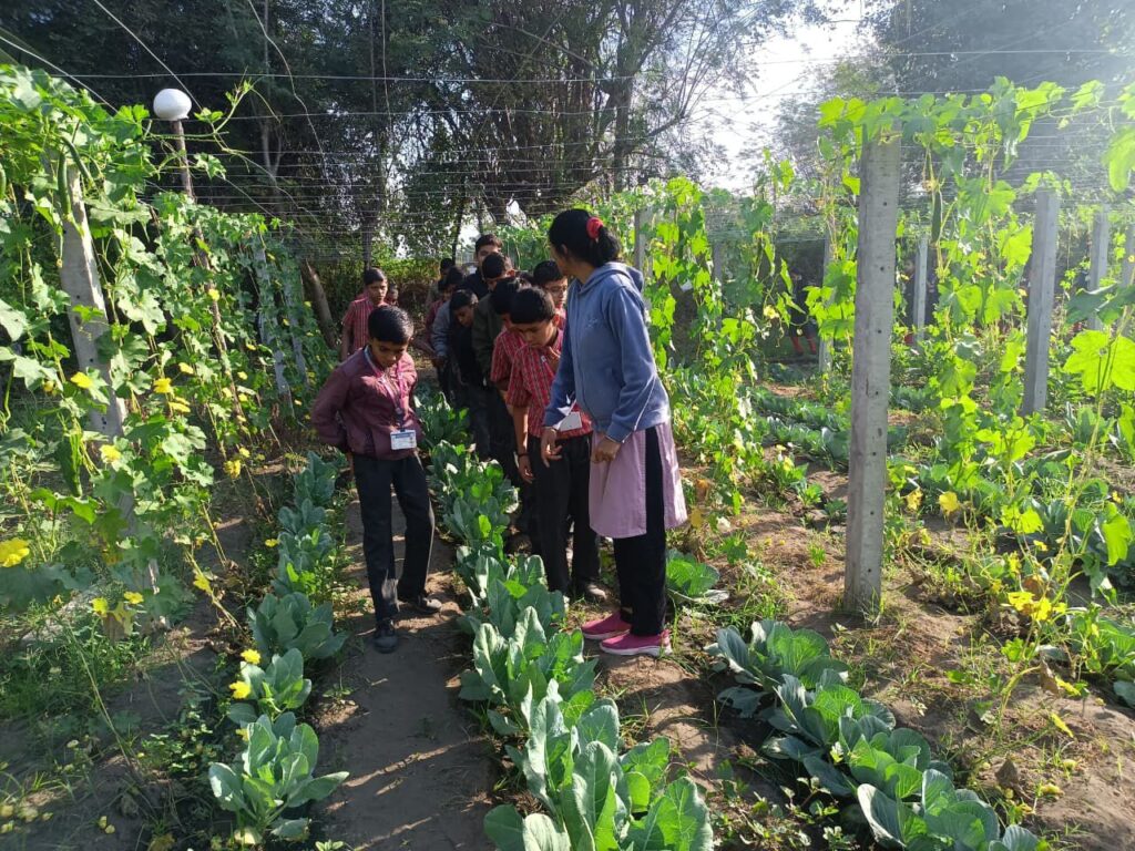 નવચેતન અદાણી વિદ્યાલયના વિદ્યાર્થીઓએ ખેડૂત દિવસની ઉજવણી કરી